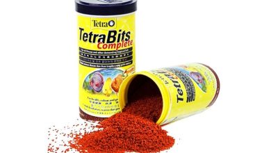 TetraBits Complete Discus Granules